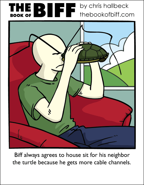 #593 - Testudines